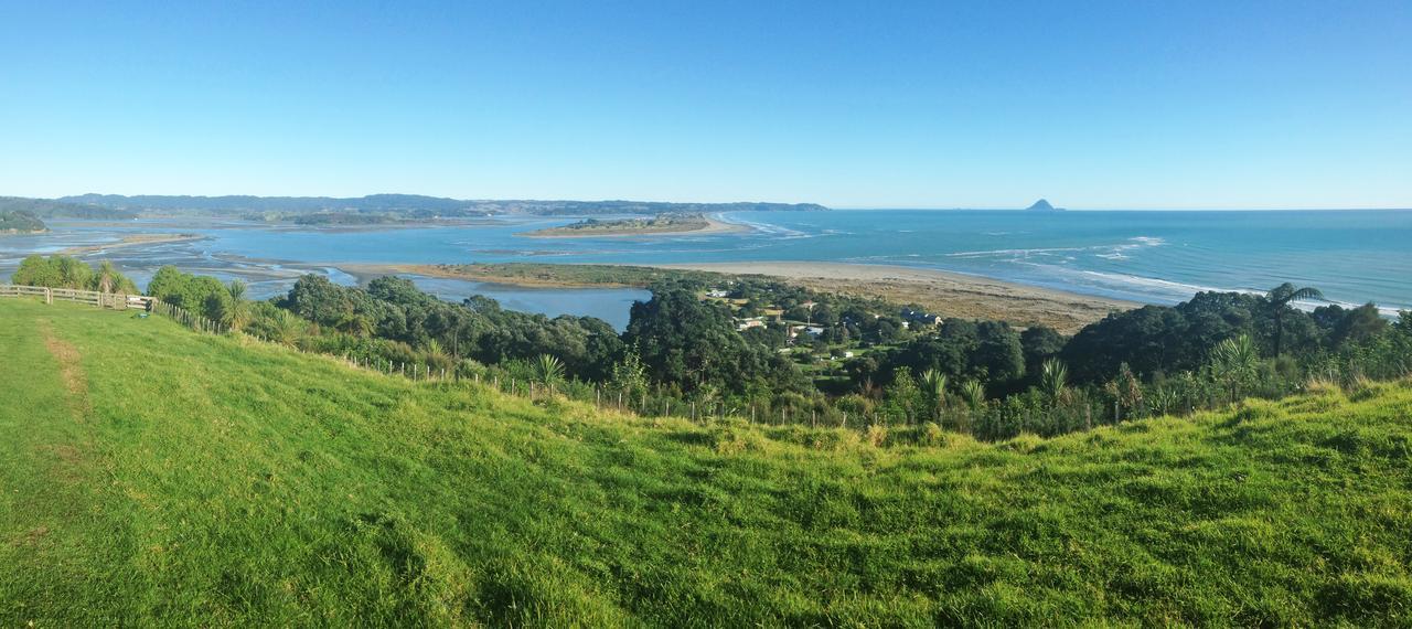 Ohiwa Seascape Studios Opotiki Ngoại thất bức ảnh