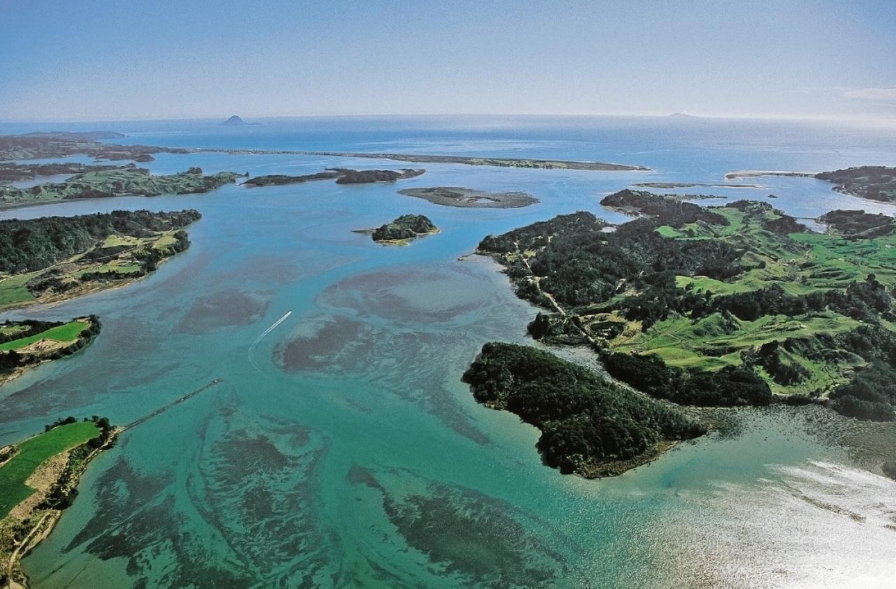 Ohiwa Seascape Studios Opotiki Ngoại thất bức ảnh